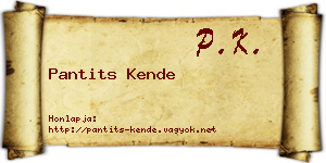 Pantits Kende névjegykártya